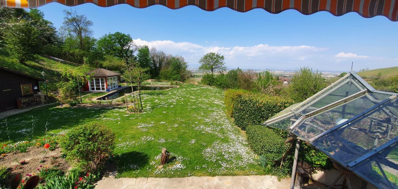 Paradies 1 Ballrechten-Dottingen Bagian luar foto