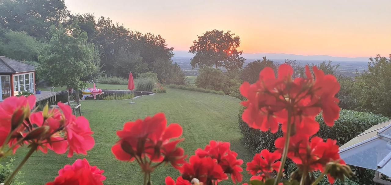 Paradies 1 Ballrechten-Dottingen Bagian luar foto