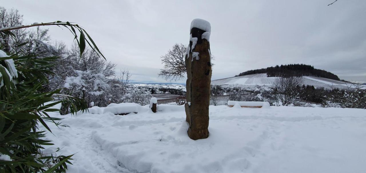 Paradies 1 Ballrechten-Dottingen Bagian luar foto