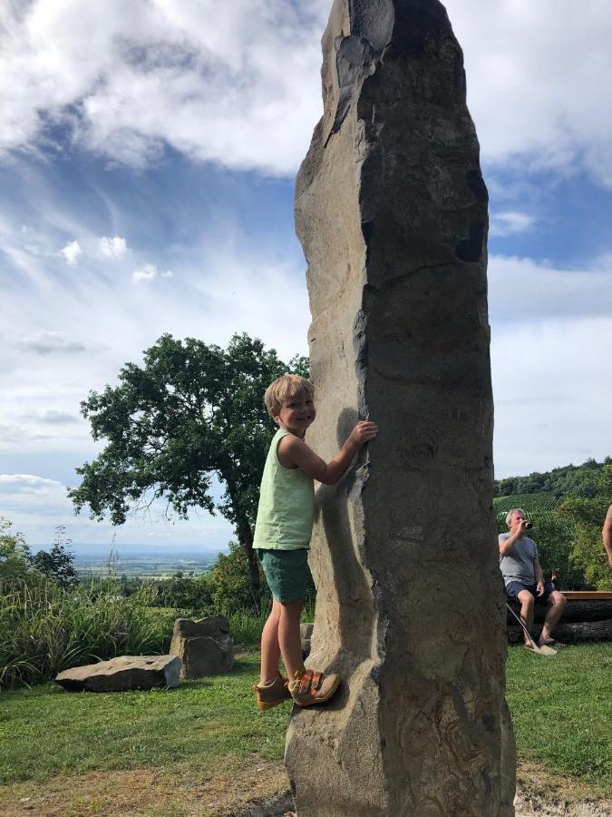 Paradies 1 Ballrechten-Dottingen Bagian luar foto