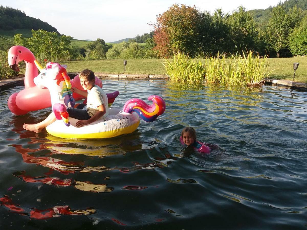 Paradies 1 Ballrechten-Dottingen Bagian luar foto